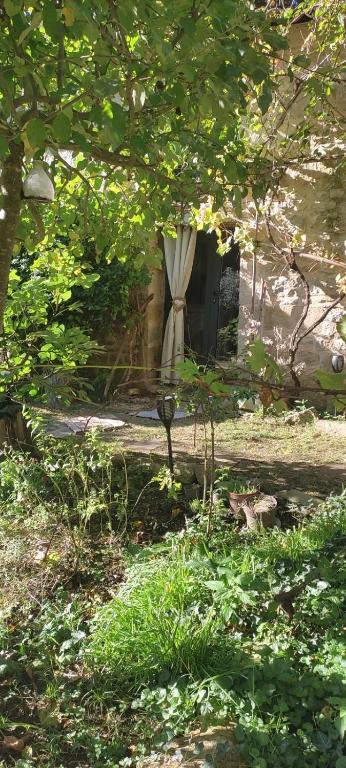 devant7_saint_antonin_noble_val_1