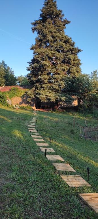 terrasse7_saint_antonin_noble_val