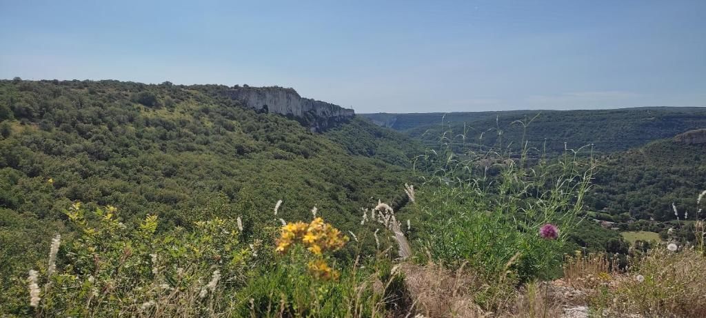 vue6_saint_antonin_noble_val_1